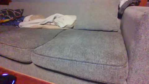 blaw_1321 online show from 04/16/26, 07:31