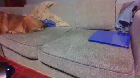 blaw_1321 online show from 04/19/26, 10:45