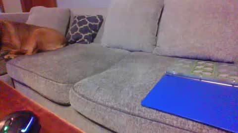 Snapshot of blaw_1321 chatting on 06/21/26, 12:35 blaw_1321 online show from 06/21/26, 12:35