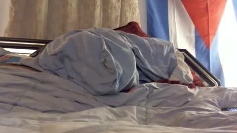 FreshCut online show from 02/11/25, 04:01