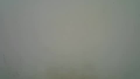 Black  brown online show from 11/07/25, 05:18