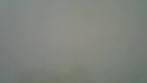 Black  brown online show from 11/11/25, 05:29