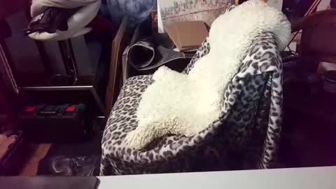 blindsurfer780299 online show from 03/15/26, 05:13