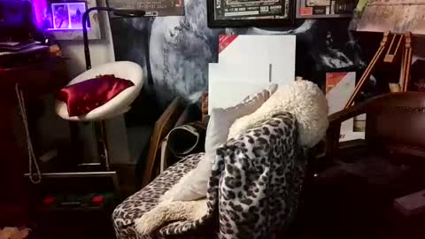 blindsurfer780299 online show from 03/30/26, 05:08