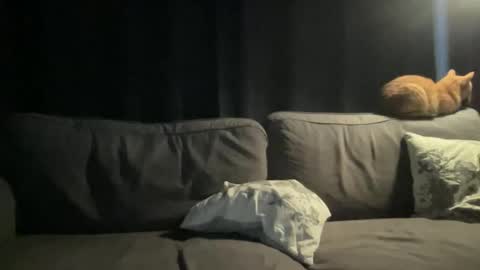 BlIdoL online show from 11/24/25, 06:46