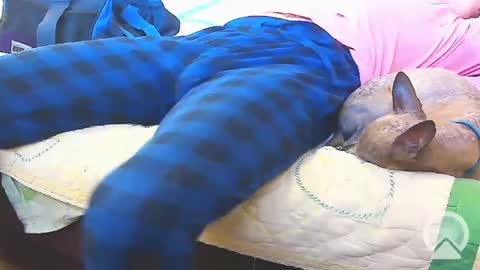 First Time College Boy online show from 02/13/25, 10:00