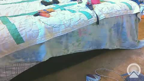 First Time College Boy online show from 02/20/25, 02:24