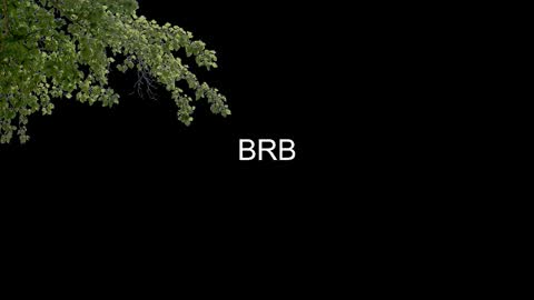 SONNYVAN online show from 01/14/26, 10:25