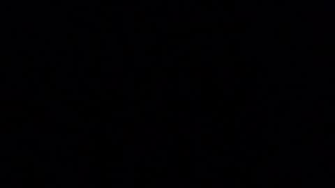 blueishgoldish online show from 03/23/26, 12:14