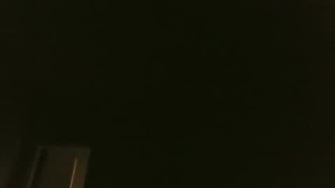 bluemoose70 online show from 01/31/25, 03:41