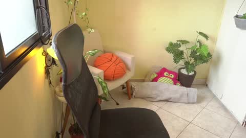 FLORAA online show from 01/11/25, 01:22