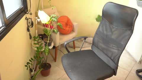 FLORAA online show from 01/15/25, 04:43