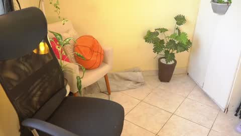 FLORAA online show from 01/23/25, 02:50