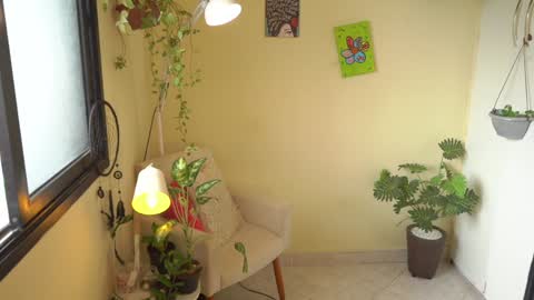 FLORAA online show from 01/26/25, 12:33