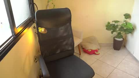 FLORAA online show from 02/11/25, 10:26