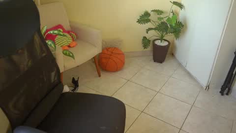 FLORAA online show from 03/11/25, 10:51