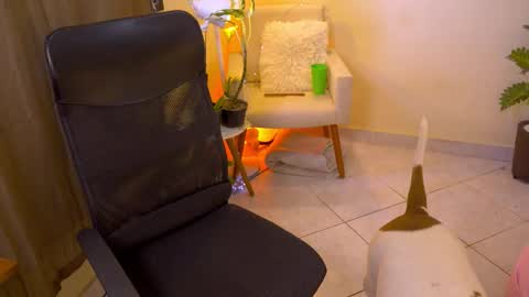 FLORAA online show from 02/19/26, 01:18