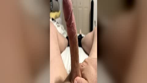 bmcluving online show from 06/21/26, 03:20