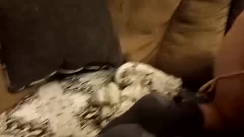 Assdrtyasuwant online show from 09/28/25, 01:49