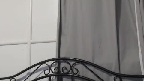 bob online show from 12/15/24, 10:28