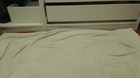 bobbuild online show from 01/31/26, 08:40