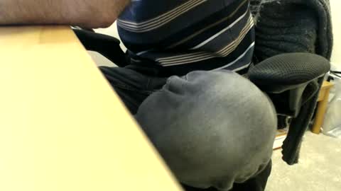 bobbuild online show from 03/30/26, 08:26