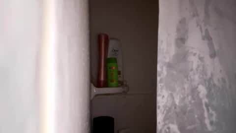 bobfish663 online show from 01/31/26, 11:03