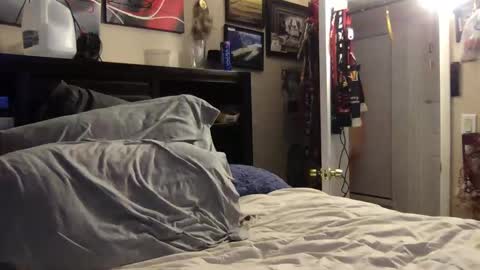 Snapshot of bobs520 chatting on 01/08/25, 05:37 Bobby520 online show from 01/08/25, 05:37