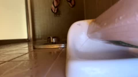 Swingingdong online show from 03/21/26, 04:17