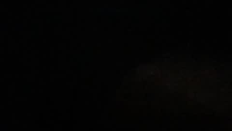 Bogarcon234 online show from 12/02/24, 07:58