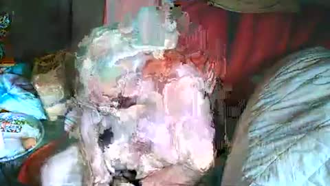 Bomber59potsdam online show from 03/02/25, 10:35