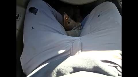 bombinshaman online show from 01/12/26, 04:34