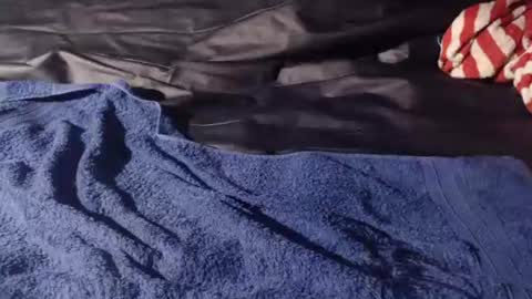 Snapshot of bomm65 chatting on 11/19/25, 03:12 Bomm65 online show from 11/19/25, 03:12