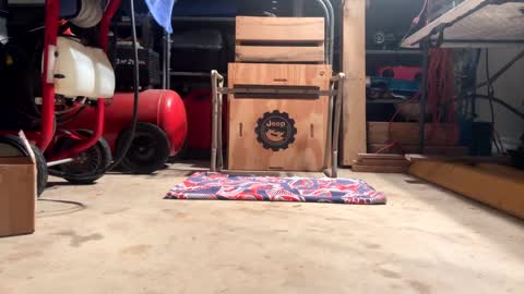 FRECKLES online show from 02/20/25, 11:53