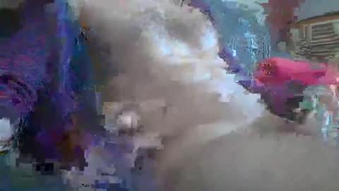 bonnieclyde90 online show from 10/12/25, 10:58