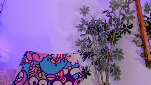   online show from 01/11/26, 11:54