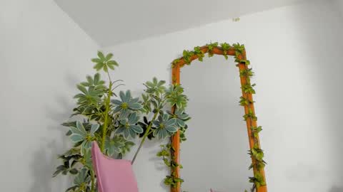   online show from 02/25/26, 11:36