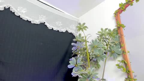   online show from 03/21/26, 12:15