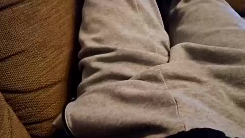 bonny8723 online show from 12/22/24, 07:42