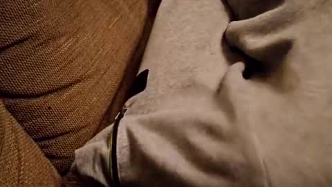 bonny8723 online show from 02/05/25, 07:20