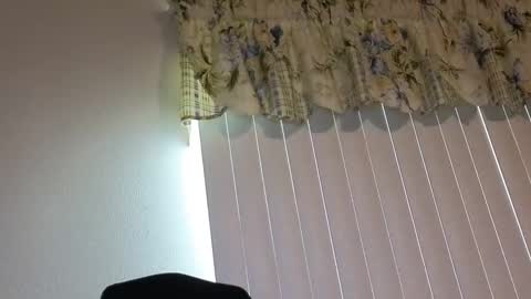 Snapshot of boobi2991 chatting on 04/21/26, 10:01 sissy slut boobi online show from 04/21/26, 10:01
