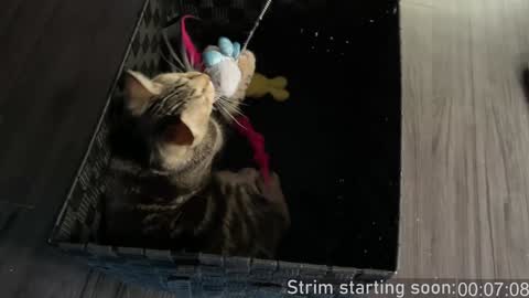 Booker Baxton online show from 01/03/25, 04:00