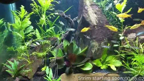 Booker Baxton online show from 01/05/25, 04:04