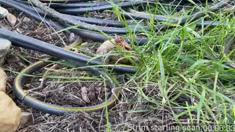 Booker Baxton online show from 03/05/25, 04:02