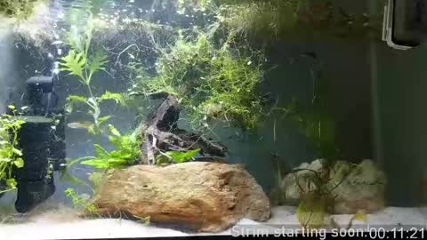 Booker Baxton online show from 09/21/25, 02:57