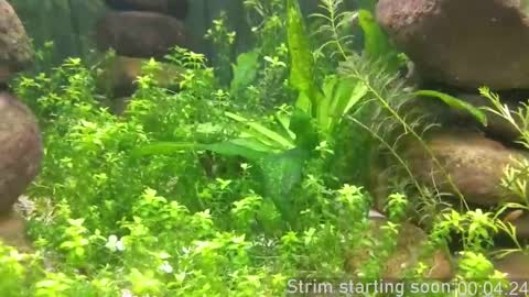 Booker Baxton online show from 10/05/25, 03:05