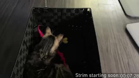 Booker Baxton online show from 10/26/25, 03:01