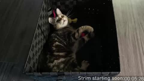 Booker Baxton online show from 01/07/26, 04:04