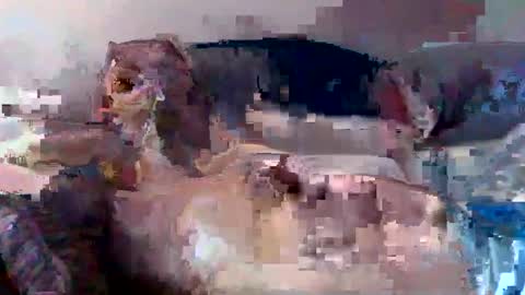 Snapshot of boomer64814390 chatting on 07/12/26, 07:32 boomer64814390 online show from 07/12/26, 07:32