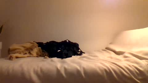 Snapshot of booty4pegging chatting on 03/03/25, 05:39 booty4pegging online show from 03/03/25, 05:39